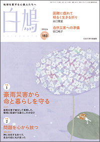 白鳩